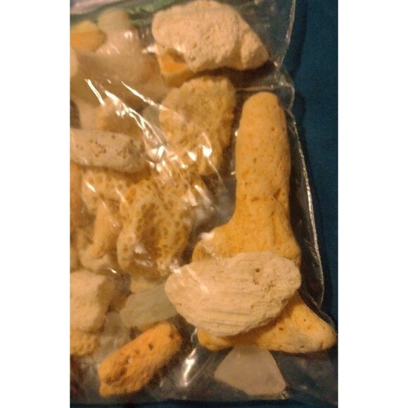 Corals and Beach Gems - Picture 6 of 7